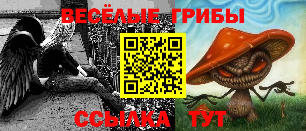 Галлюциногенные грибы ЛСД  Вход с VPN  Моздок  Псилоцибиновые грибы мухоморы 
