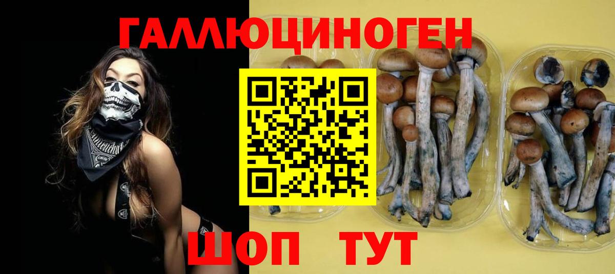 Галлюциногенные грибы Magic Shrooms Моздок